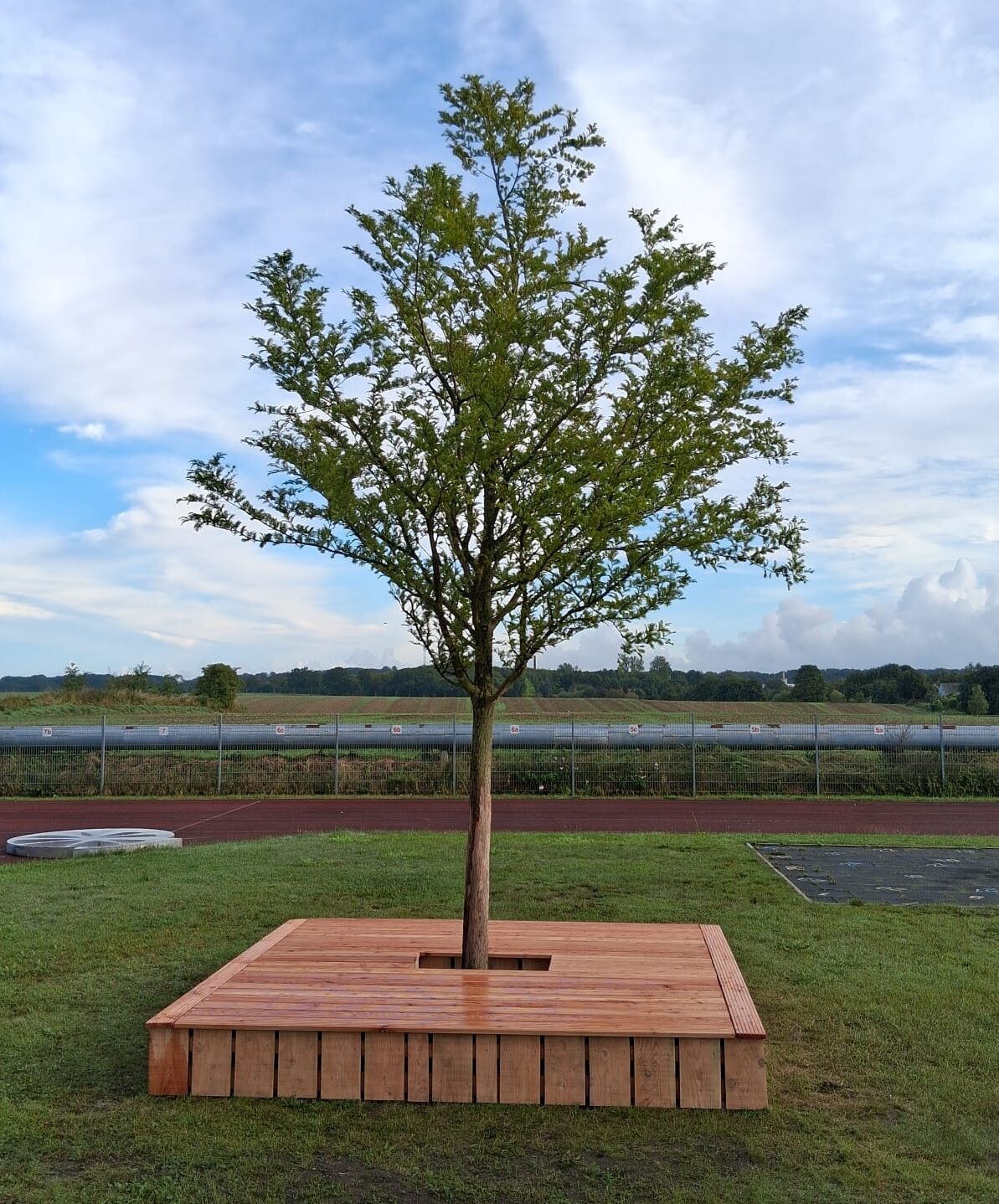 PHOTO-2025-09-09-17-59-24 (002)